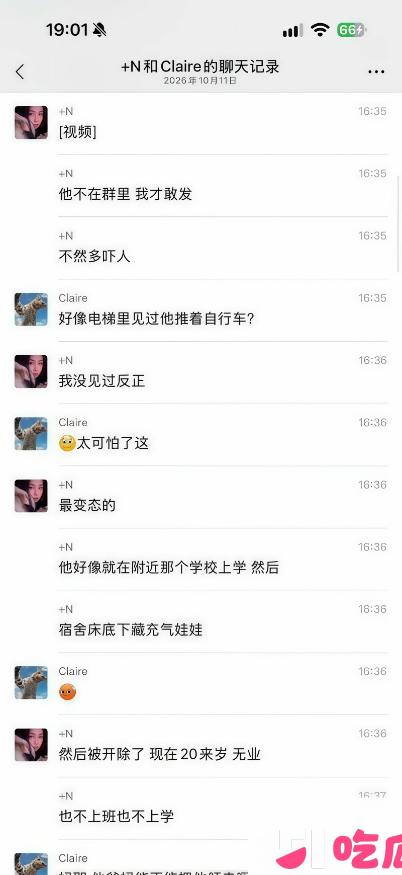 上海男子王英举涉嫌虐猫事件 7