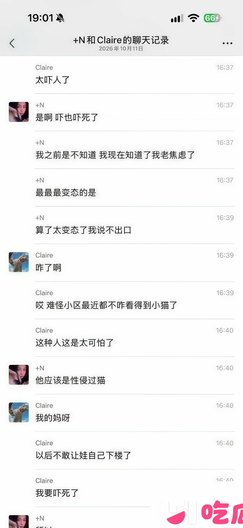 上海男子王英举涉嫌虐猫事件 8